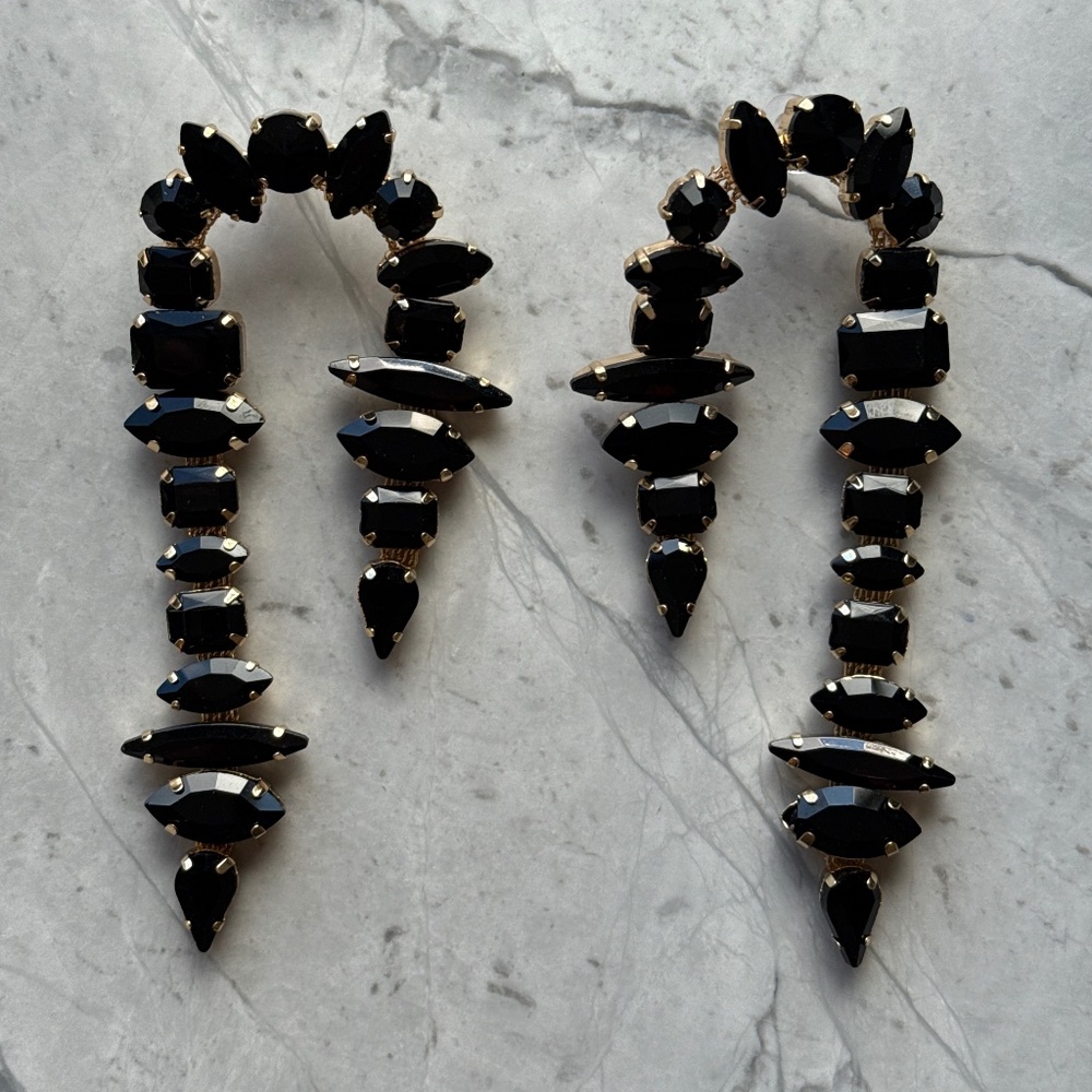 Elegant Black Statement Earrings